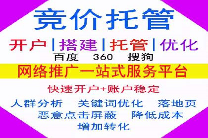某企业SEM广告投放的ROI提升策略及效果展示